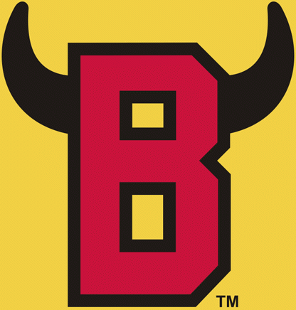 Belleville Bulls 1981-2008 secondary logo iron on heat transfer